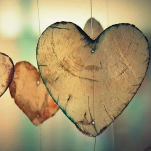 日本XXXX69HD老师学生
